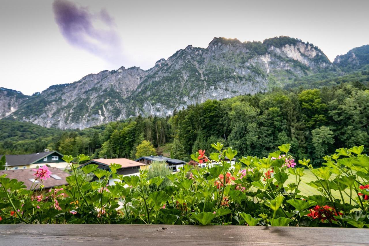 غرودخ Pension Bergfried المظهر الخارجي الصورة